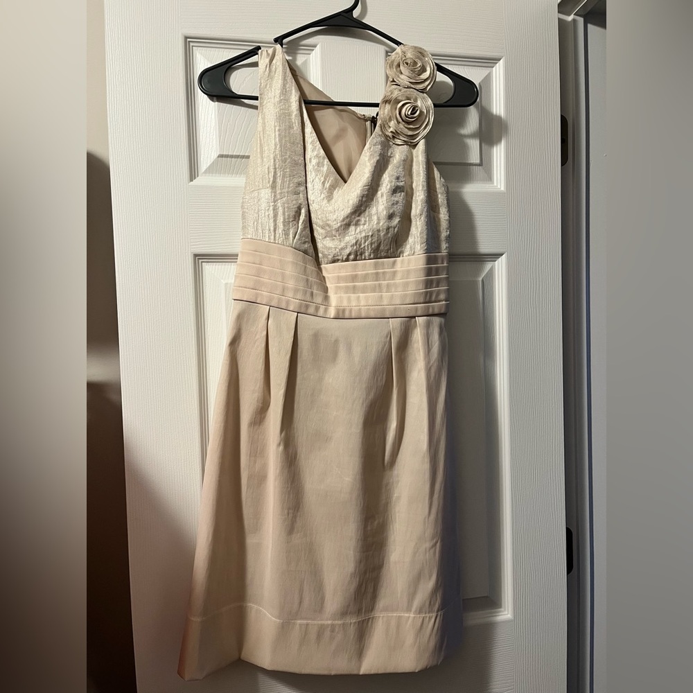 Women’s sleeveless dress